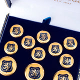 Aslan buttons