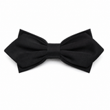 Papion Diamond Noir