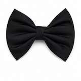 Papion Noir Signature